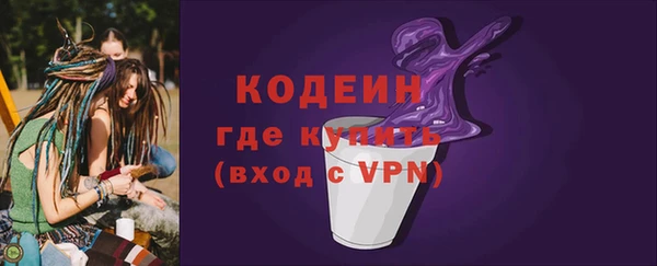 сатива Сатка
