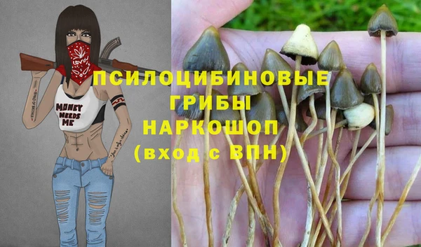СК Алексеевка