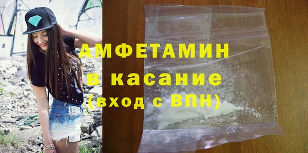 сатива Сатка