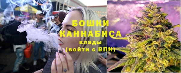 сатива Сатка