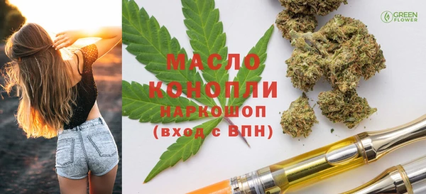 сатива Сатка
