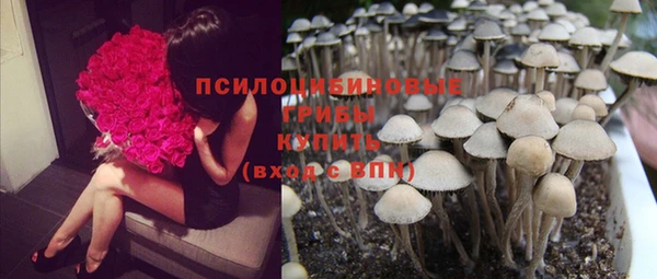 дмт Саяногорск